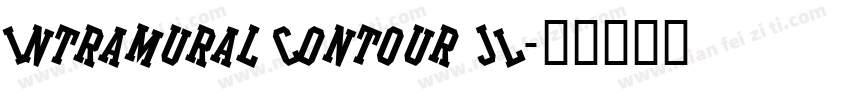 Intramural Contour JL字体转换